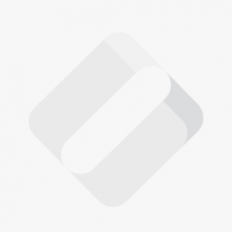 VMWARE VSPHERE STANDARD 8 - 1 ANNO